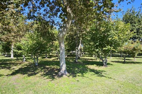 Photo of property in 298 Maungarangi Road, Paengaroa, Te Puke, 3189