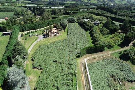 Photo of property in 6 Woodland Road, Johnsonville, Wellington, 6037