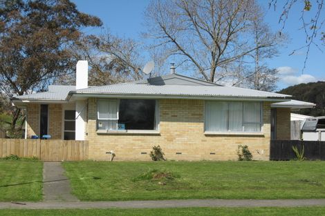 Photo of property in 33 James Henry Crescent, Huntly, 3700