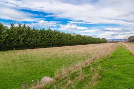 Photo of property in 244 Neal Road, Spring Creek, Blenheim, 7273