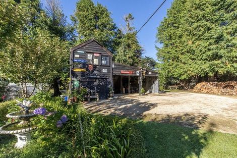 Photo of property in 3 Adolphus Street, Norsewood, 4974