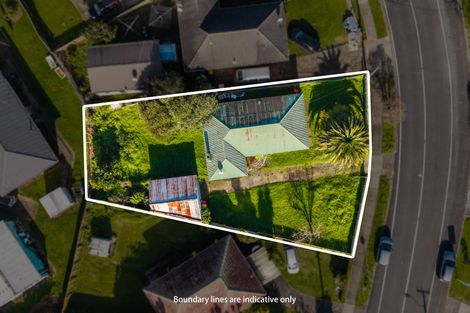 Photo of property in 46 Ferguson Road, Otara, Auckland, 2023