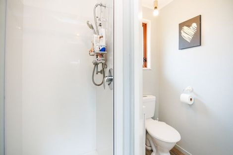 Photo of property in 168 Stanford Street North, Ashhurst, 4810