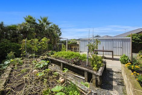 Photo of property in 5 Conifer Grove, Te Kamo, Whangarei, 0112