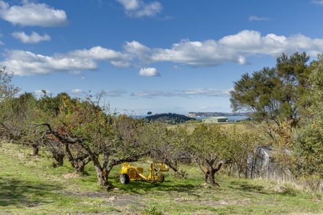 Photo of property in 136 Seafield Road, Eskdale, Napier, 4182