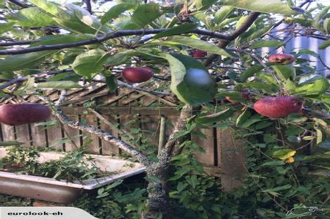 Photo of property in 72 Aro Street, Aro Valley, Wellington, 6021