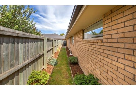 Photo of property in 24 Cooke Street, Somerfield, Christchurch, 8024