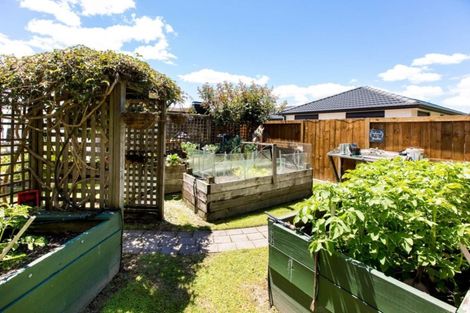 Photo of property in 49b Waharoa Road, Matamata, 3400