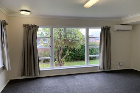Photo of property in 21 Stanley Street, Levin, 5510