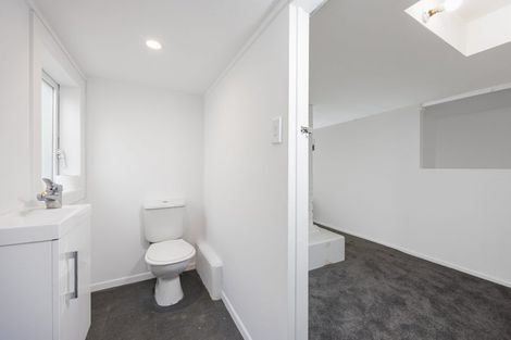 Photo of property in 68 Second Avenue, Kingsland, Auckland, 1021