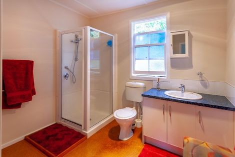 Photo of property in 107 Brunton Crescent, Thames, 3500