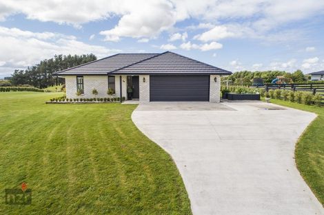 Photo of property in 66 Wapiti Avenue, Feilding, 4775