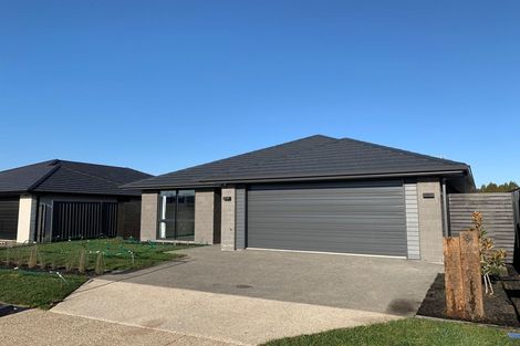 Photo of property in 9 Flack Street, Pyes Pa, Tauranga, 3112