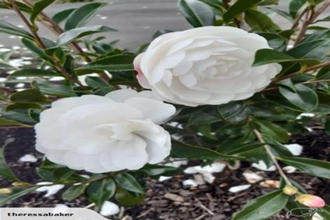 Photo of property in 30 Ruru Lane, Kerikeri, 0230