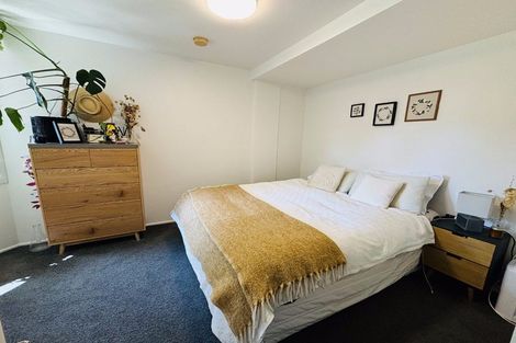 Photo of property in Palm Grove Apartments, 6/13a Palm Grove, Berhampore, Wellington, 6023