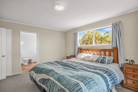 Photo of property in 65 Nixon Street, Tinwald, Ashburton, 7700