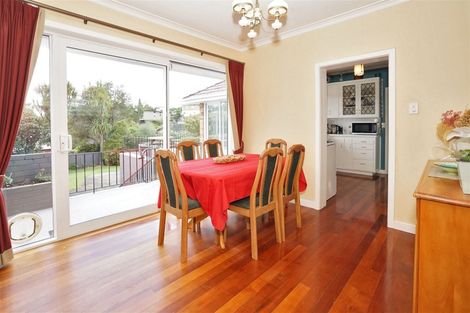 Photo of property in 24 Riverview Terrace, Fairfield, Hamilton, 3214