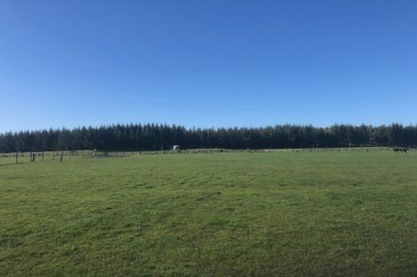 Photo of property in 1105d Santoft Road, Santoft, Bulls, 4894