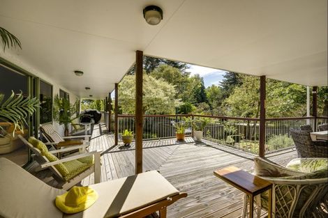 Photo of property in 45 Greenwood Road, Havelock North, 4130