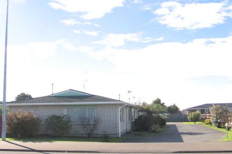 Photo of property in 295 Ruahine Street, Terrace End, Palmerston North, 4410