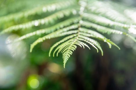 Photo of property in 16 Saint John Street, Aro Valley, Wellington, 6011