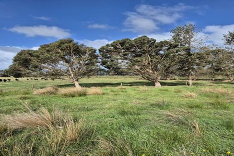 Photo of property in 50b Painua Road, Hokio Beach, Levin, 5571