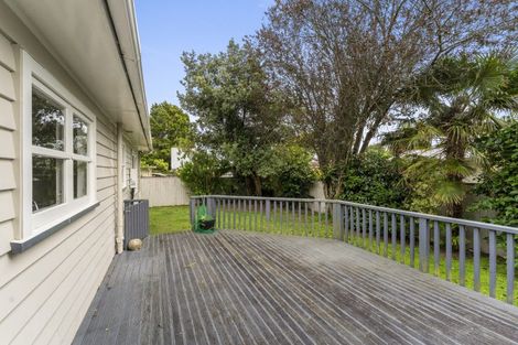 Photo of property in 39 Macarthur Street, Levin, 5510