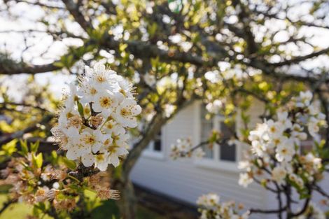 Photo of property in 2 Harford Street, Feilding, 4702