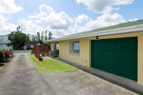 Photo of property in 2a Buchanan Street, Paeroa, 3600