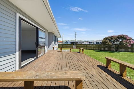 Photo of property in 17 Montgomery Street, Waipukurau, 4200