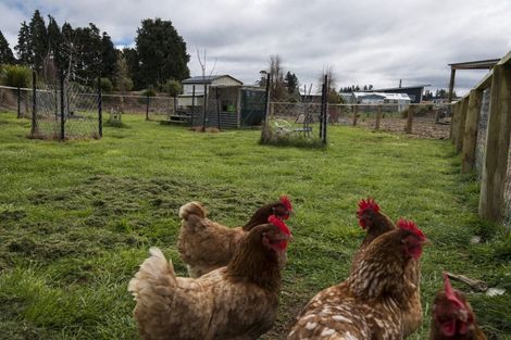 Photo of property in 52a Ruapehu Road, Ohakune, 4625