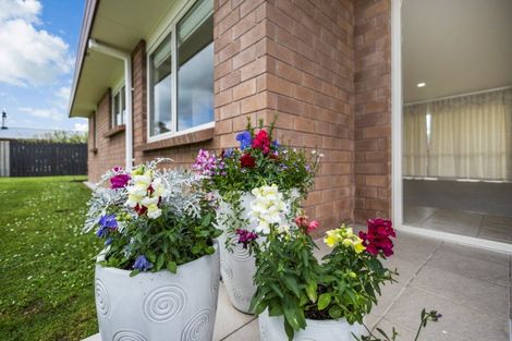 Photo of property in 5 Firth Close, Matamata, 3400