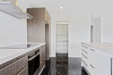 Photo of property in 110 Infinity Drive, Pegasus, 7612