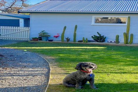 Photo of property in 17 Iwa Street, Mapua, 7005