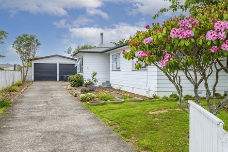 Photo of property in 19 Stirling Street, Levin, 5510