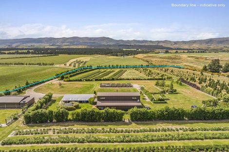 Photo of property in 42d Gladsmuir Road, Queensberry, Cromwell, 9383