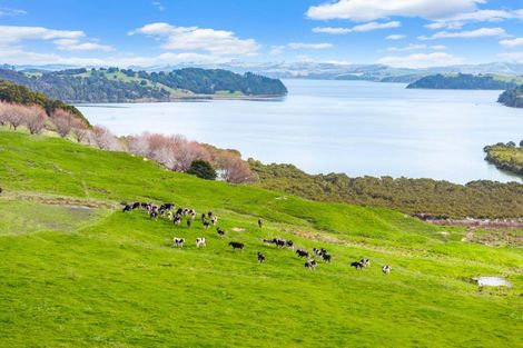 Photo of property in 100 Marohemo Road, Maungaturoto, 0583