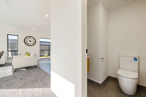 Photo of property in 29 Earp Crescent, Chartwell, Hamilton, 3210