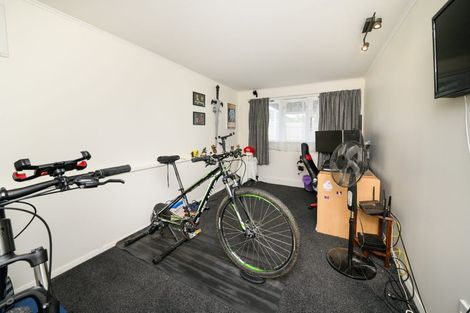 Photo of property in 53 Highbury Avenue, Highbury, Palmerston North, 4412