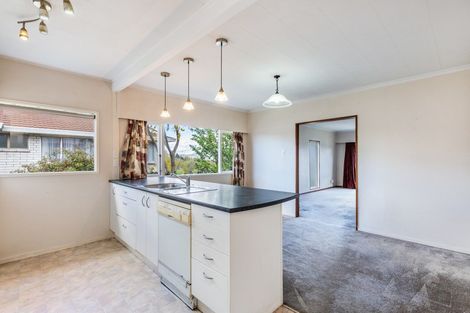 Photo of property in 45 Norman Smith Street, Nukuhau, Taupo, 3330