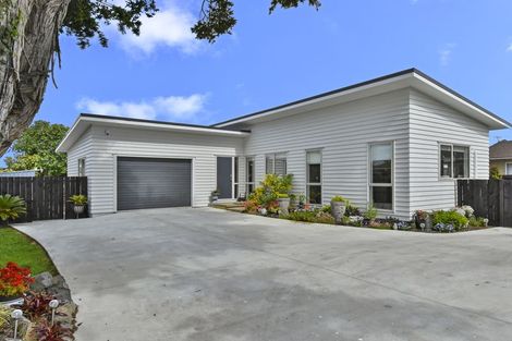 Photo of property in 24a Bunnythorpe Road, Papakura, 2110