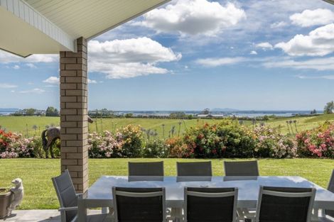 Photo of property in 515 Youngson Road, Whakamarama, Tauranga, 3179
