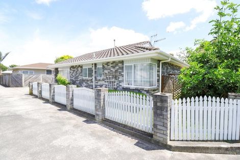 Photo of property in 26a Windsor Street, Terrace End, Palmerston North, 4410