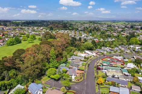 Photo of property in 46 Fitzroy Avenue, Fitzroy, Hamilton, 3206