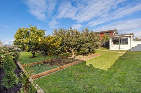 Photo of property in 68 Thorp Street, Motueka, 7120
