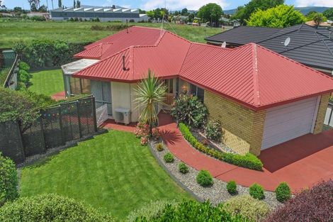 Photo of property in 6 Henley Court, Highbury, Palmerston North, 4412