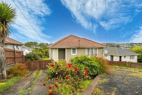 Photo of property in 98 Panmure Avenue, Calton Hill, Dunedin, 9012