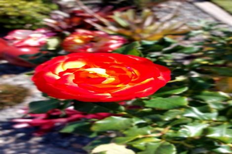 Photo of property in 5 Havenbrook Way, Pyes Pa, Tauranga, 3112