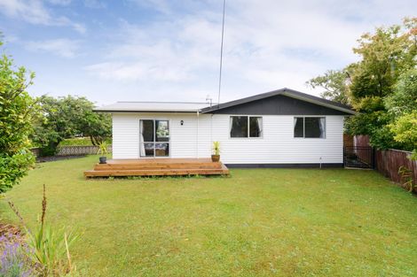 Photo of property in 147 Stanford Street North, Ashhurst, 4810