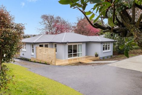 Photo of property in 8 Matthew Street, Gate Pa, Tauranga, 3112